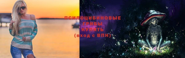 прущая мука Михайлов