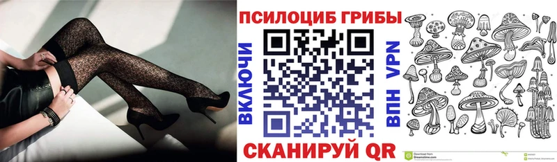 Псилоцибиновые грибы MAGIC MUSHROOMS  магазин продажи наркотиков  Ак-Довурак 